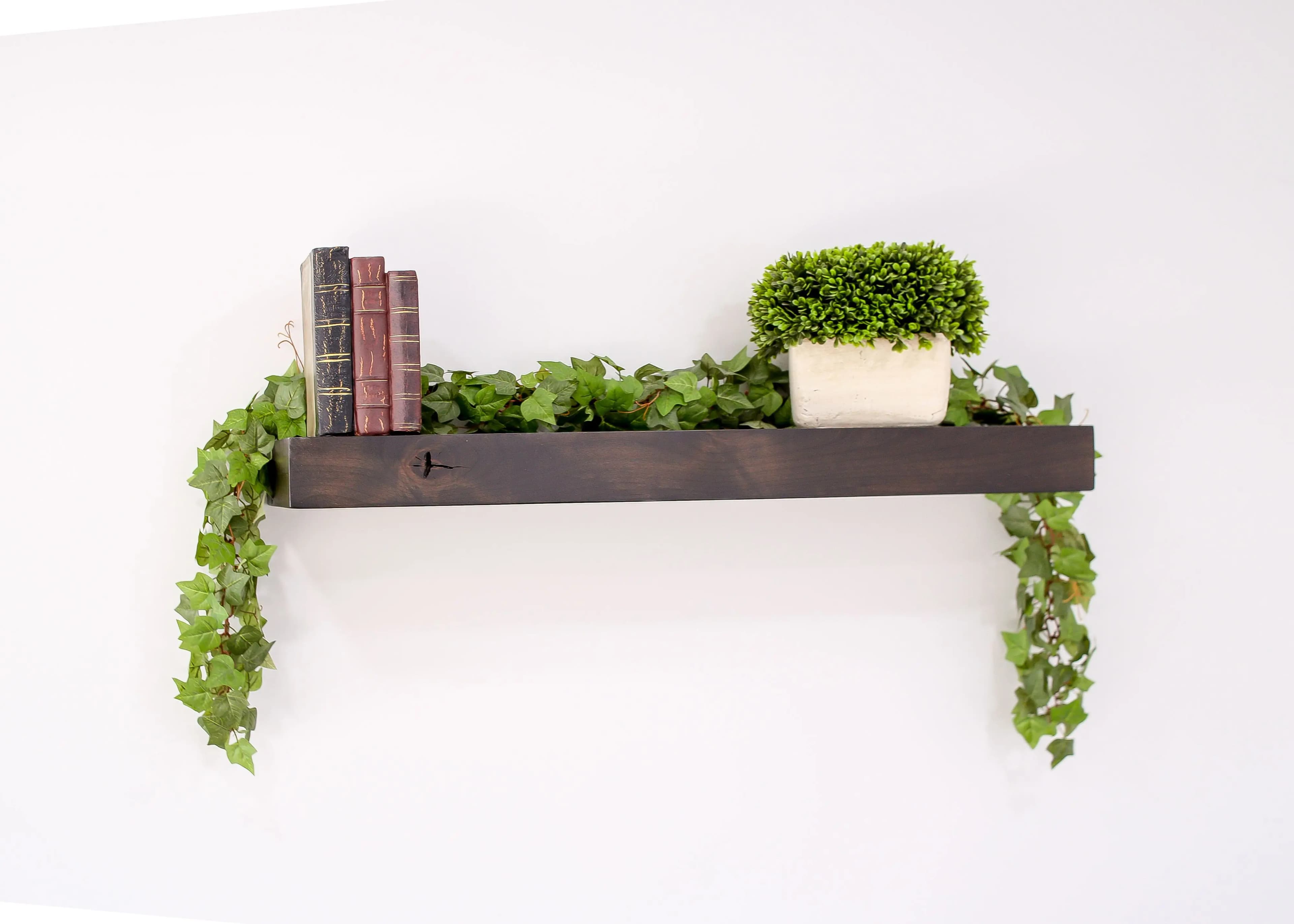 a shelf with books and plant on it